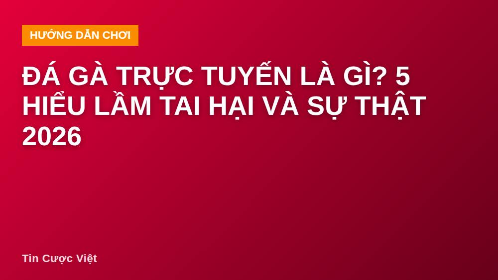 Đá gà trực tuyến là gì? 5 hiểu lầm tai hại và sự thật 2026